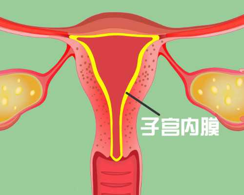郑州试管捐卵生子有偿捐卵平台婴儿花费明细表_代怀流程
