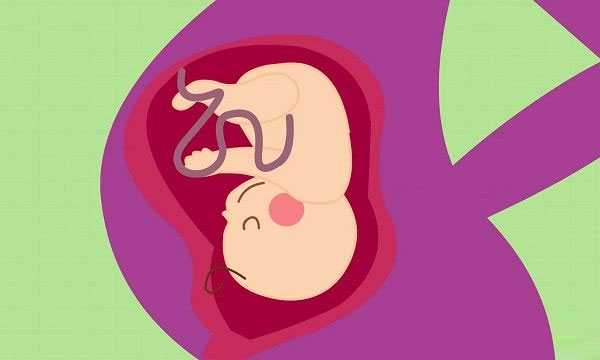 宜宾助孕专家联系方式_美国试管婴儿胚胎移植前不能同房,整个孕期能同房吗