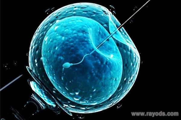 金华正规助孕费用_试管婴儿可以做性别鉴定吗新鲜胚胎做囊胚成功率高