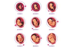 供卵代怀价格表_借卵子生子的过程_早产儿患脑瘫的机率有多大