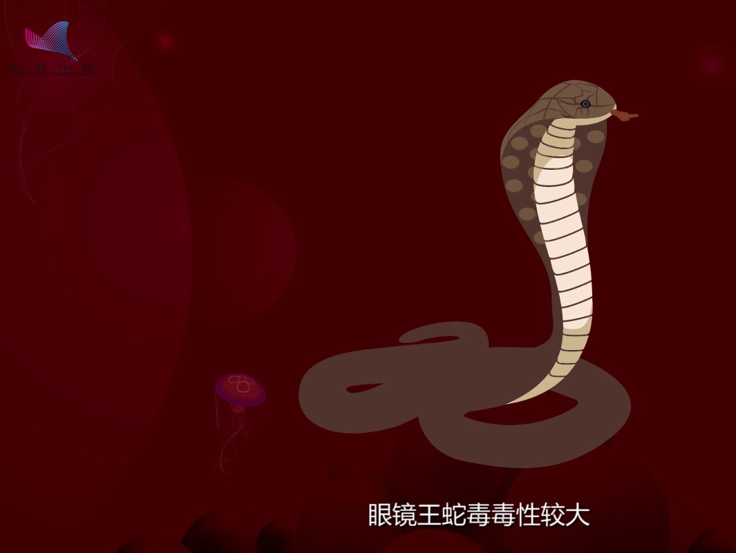 北京代孕哪家好_北京试管婴儿供卵多少钱_眼镜王蛇以蛇为食，它们会吃掉自己