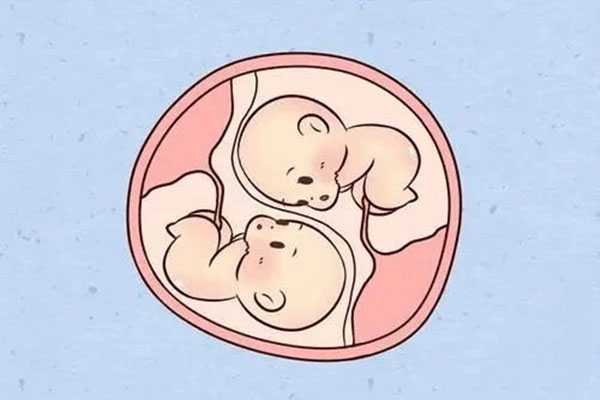 克拉玛依助孕公司哪家好_克拉玛依添丁助孕_试管婴儿移植单胎还是双胎好