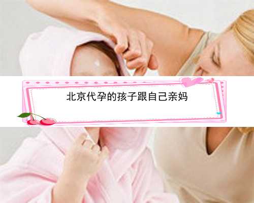 北京试管婴儿代孕是合法的吗|1008y_zY80s_975wj_瑞白上午打还是下午打好？_53734