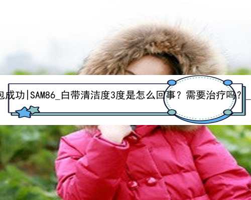 北京代孕生子公司包成功|SAM86_白带清洁度3度是怎么回事？需要治疗吗？_y3D1l