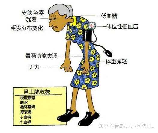 北京私人供卵医院哪家好,北京北大三代试管婴儿指南：流程、成功率、费用这